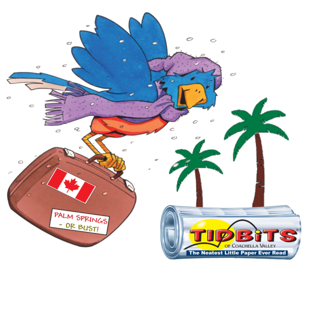 Snowbird flying with suitcase and paper